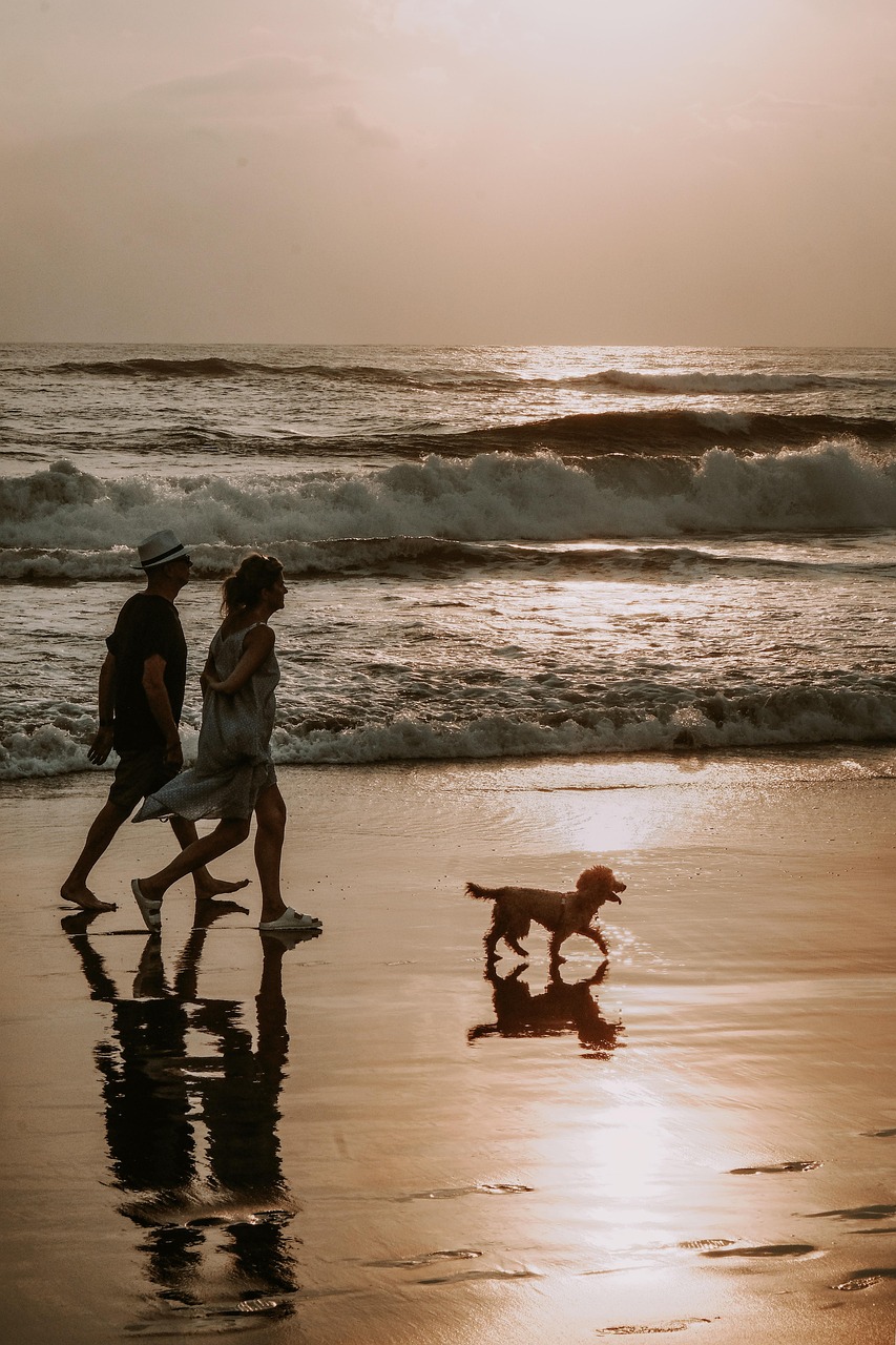 couple, dog, animal, walk, nature, beach, bali, wave, shores, pet, sea, ocean, sunset