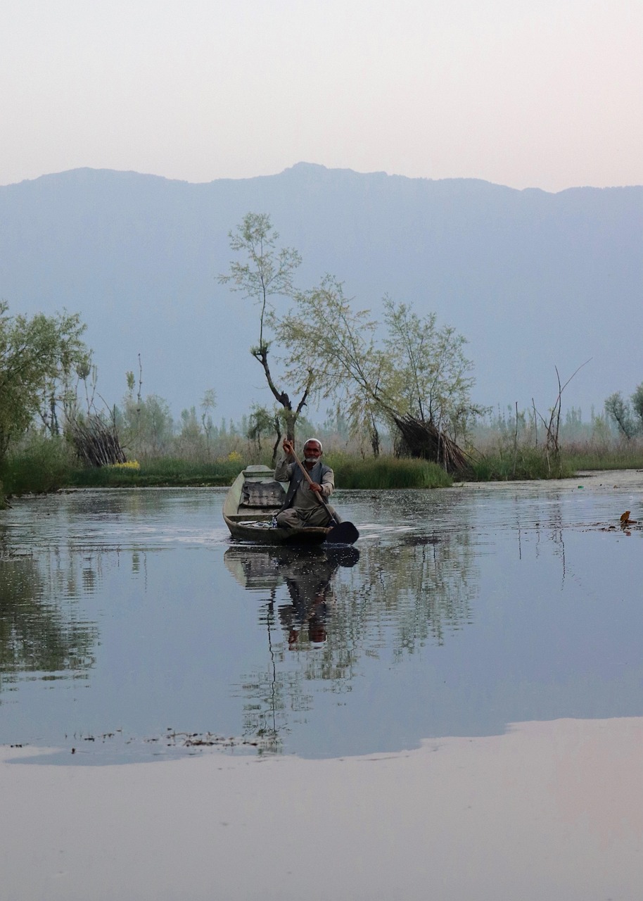 shikara, kashmir, nature, dal lake, srinagar, lake, boat, outdoors, wilderness