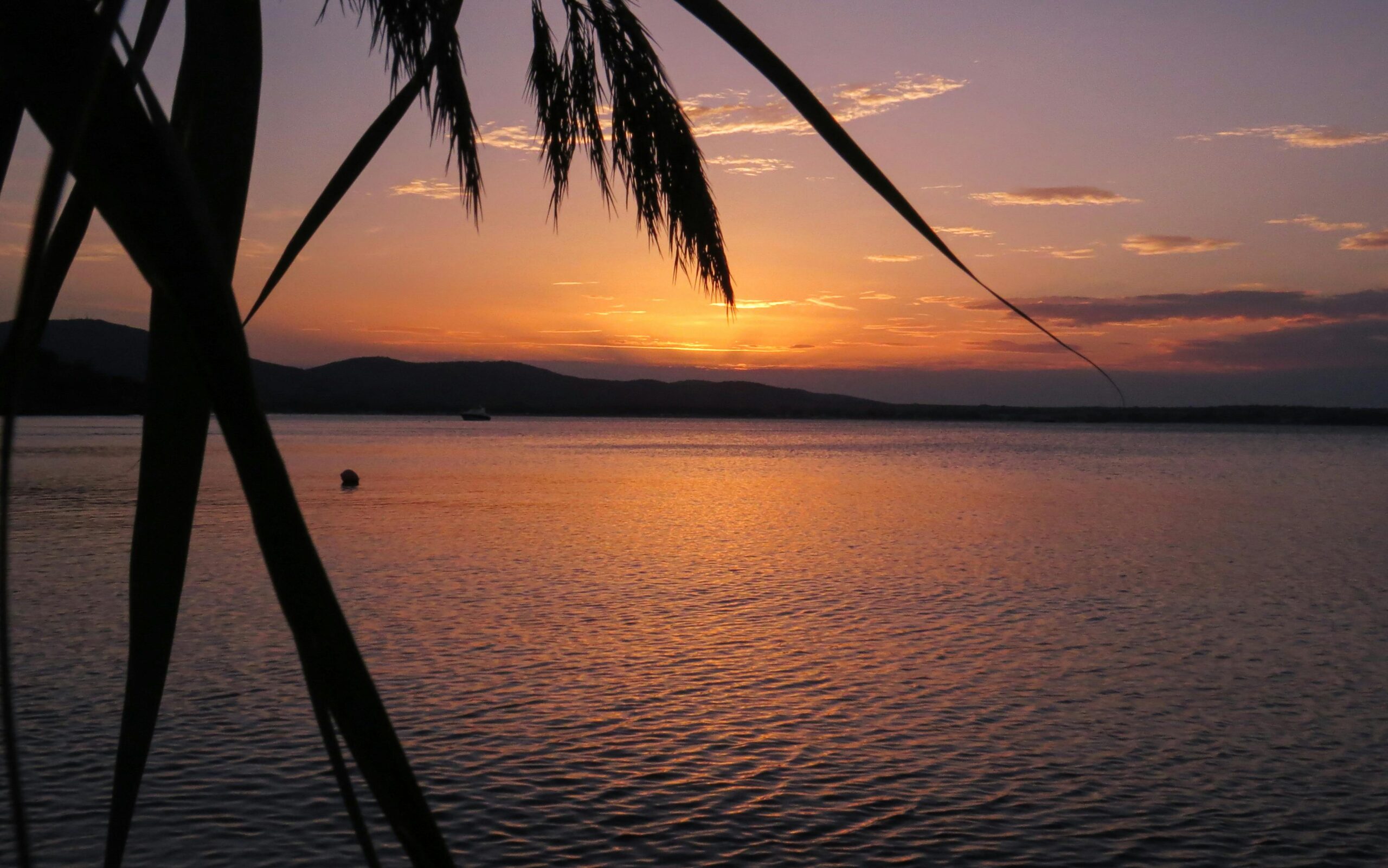 Picturesque sunset view over a serene ocean with silhouetted palm leaves.