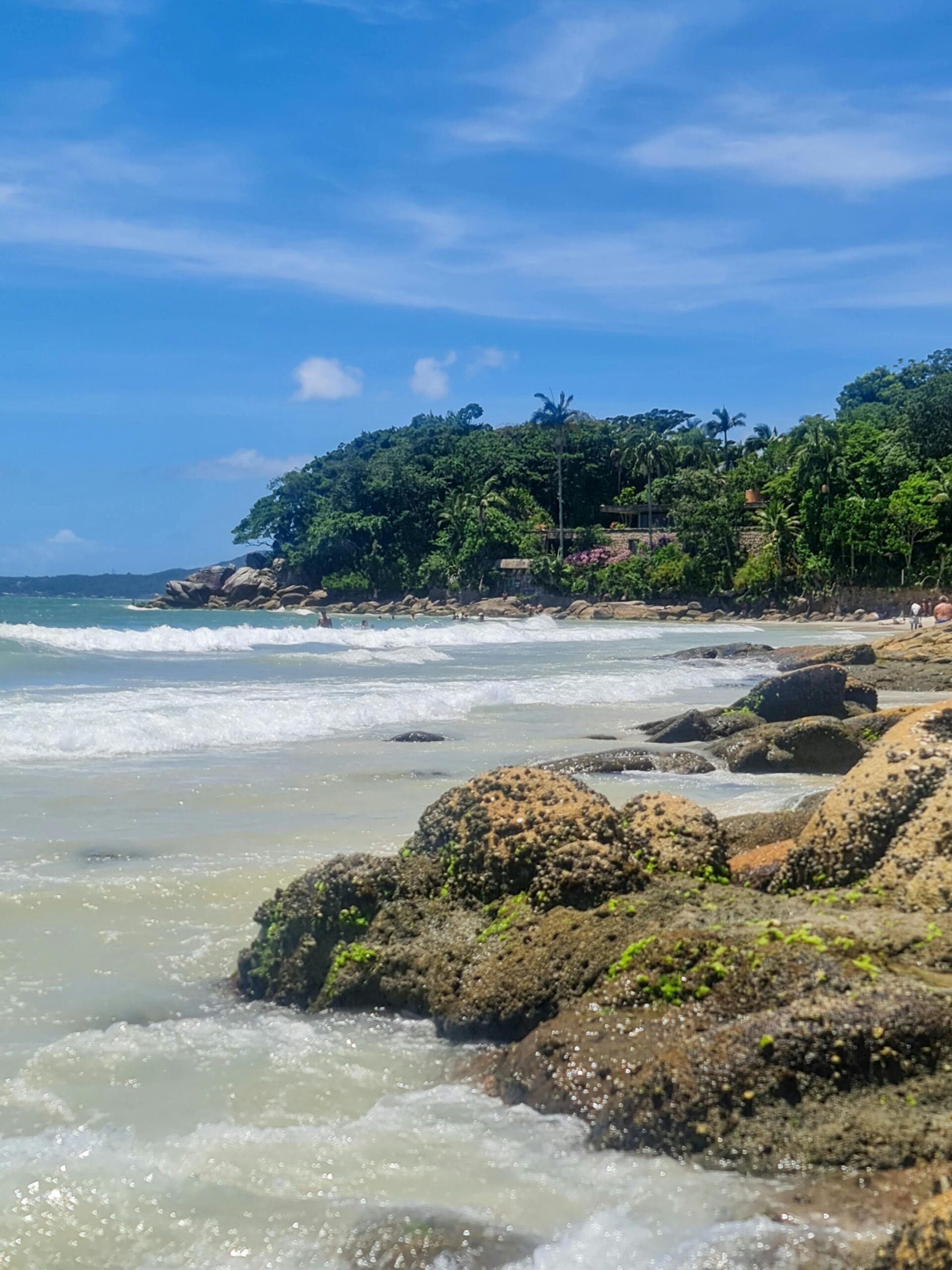 Experience the stunning coastal landscape of Florianópolis with lush forests and rocky shores.
